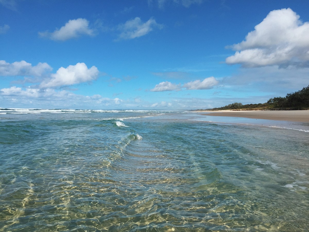 44b27272-4c70-43aa-b9ca-e45feb161555